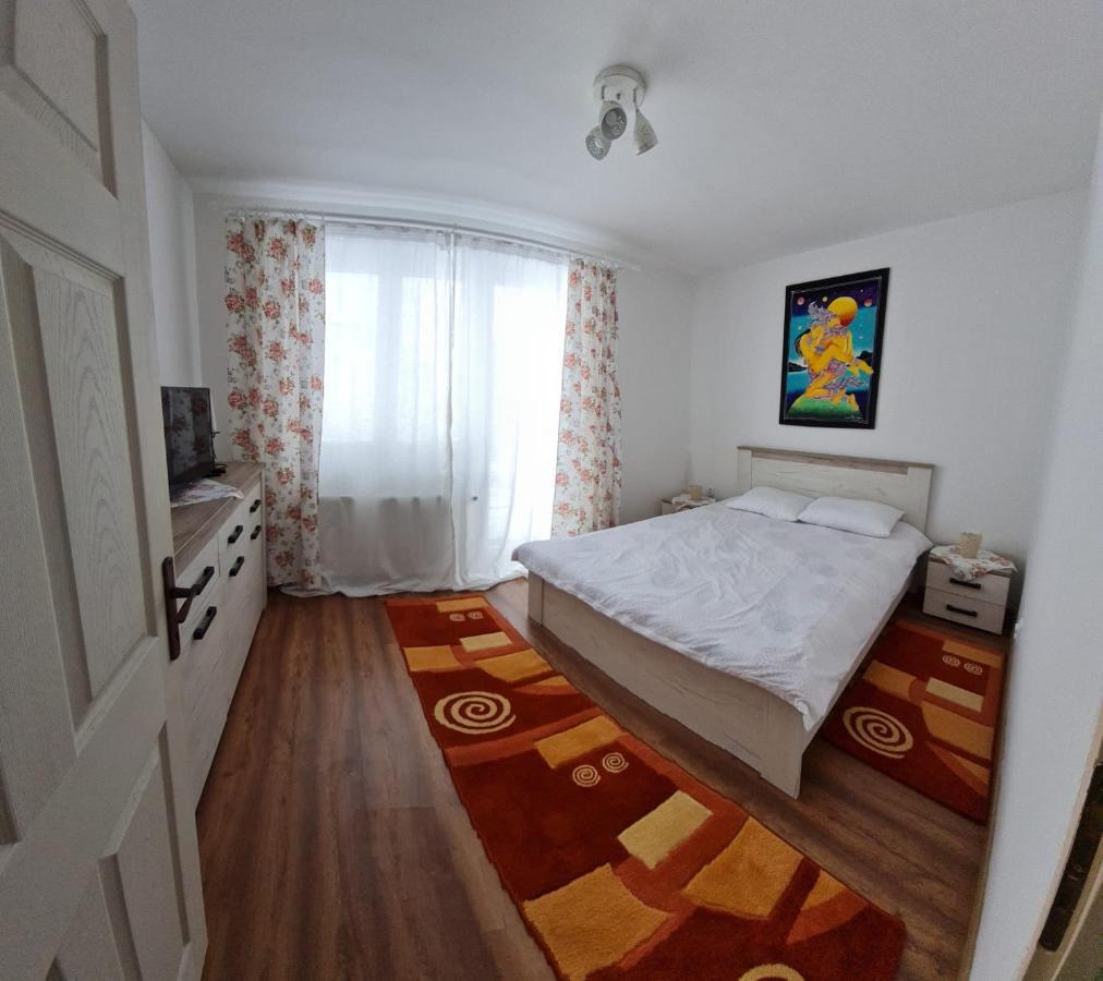 Dddd Apartament Cavnic Dış mekan fotoğraf